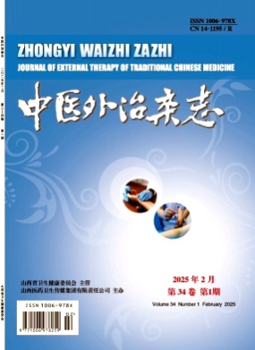 中医外治杂志杂志